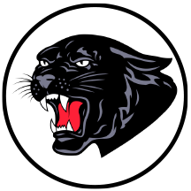 SVHSlogo Decorative logo for Saucon Valley High School